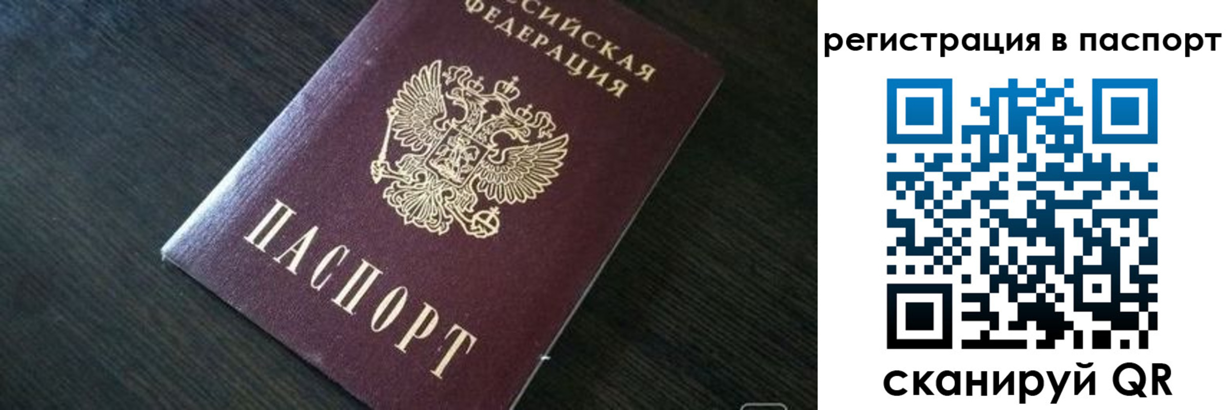 прописка в квартире в Московской области